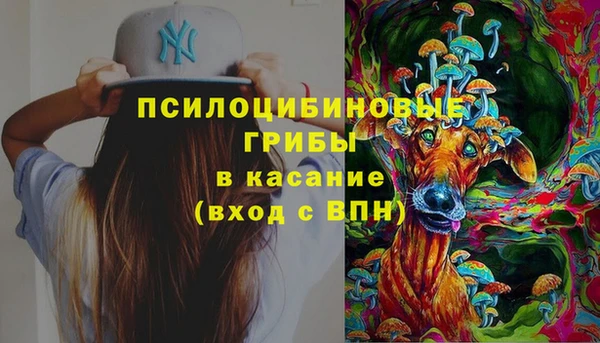 a pvp Алексин
