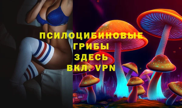 ПСИЛОЦИБИНОВЫЕ ГРИБЫ Алексеевка