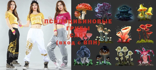 a pvp Алексин