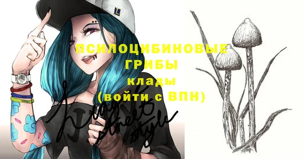 ПСИЛОЦИБИНОВЫЕ ГРИБЫ Алексеевка