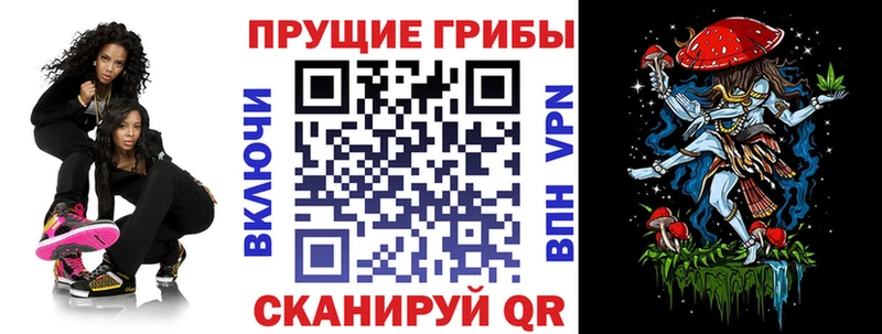 Псилоцибиновые грибы GOLDEN TEACHER  Купить  Россошь 